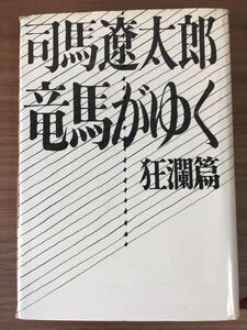 司馬遼太郎「竜馬がゆく」狂瀾篇