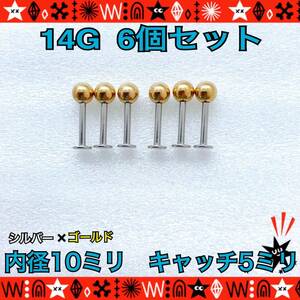  body pierce 14G 6 piece set set sale 10mm×5mmla Brett stud ..silver×gold year Lobb ear .. surgical stainless steel 