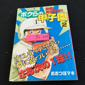 Y30-054 ダイソーコミックシリーズ 18 熱闘!高校野球 ボクらの甲子園 ② おおつぼマキ ザ・ダイソー 大創産業 野球漫画 単行本 スポーツ