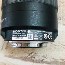 [7-395]SONY ソニー DT 55-300mm F4.5-5.6 SAM SAL55300 /レンズケース Potensic _画像6