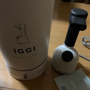 値下げしました(*゚▽゚*) 衣類スチーマー IGGI