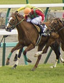 6日の回収率は1390%! 単勝と馬連の3点だけで誰でも競馬投資が可能! 初心者OKの知識不要の競馬法! 競馬予想ソフトも!
