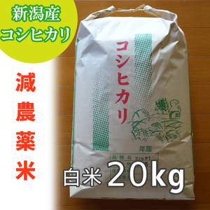 令和3年産新米！新潟コシヒカリ白米20kg新潟農家から美味しいお米 送料無料