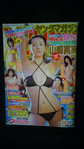 ヤングマガジン 2008年1月1日号 no.1 南明奈/山崎真実/仲村みう/次原かな/他 MS220725-036