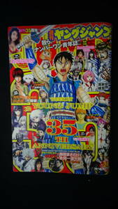 週刊ヤングジャンプ 2014年5月29日 no.24 おのののか/高見奈央 MS220728-009