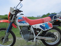 税込　XLR250バハ　MD22 オイルクーラー付き　BAJA　良さそう　動画　書類有ります、検索　林道　KDX　XR　ジャベル　DF　Dトラ　DT　_画像2