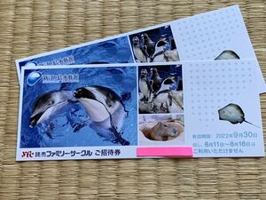 ◎新江ノ島水族館 招待券２枚（9月末まで）（即決有）