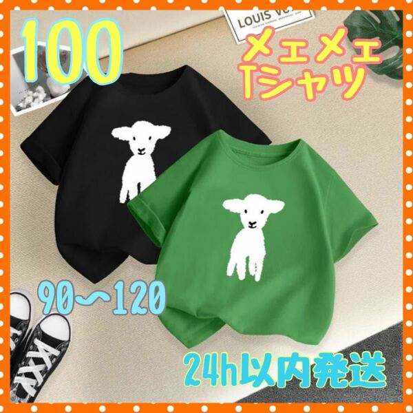 【100】グリーン　キッズTシャツ メェメェ 羊 ひつじ プリントTシャツ 韓国