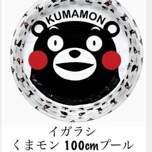 イガラシ くまモン 家庭用100cmプール 直径100cm × 高さ25cm 新品