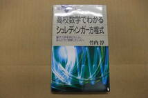 Bｂ1893-バラ　本　高校数学でわかるシュレディンガー方程式　竹内淳　講談社_画像1