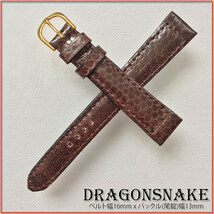 1点モノ 天然模様 １６mm 本革 ドラゴンスネイク ヘビ革 DRAGON SNAKE 時計ベルト ブラウン GOLD BUCKLE 送料無料 バネ棒２本 BROWN 金箔_画像1