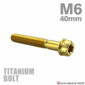 M6×40mm P1.0 64チタン合金 ヘキサゴン トルクスヘッド キャップボルト フランジ付き ゴールドカラー 車/バイク/自転車 1個 JA1333