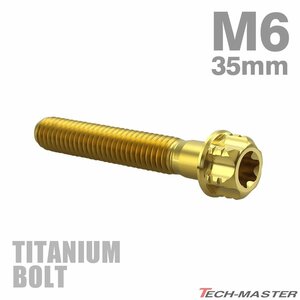 M6×35mm P1.0 64チタン合金 ヘキサゴン トルクスヘッド キャップボルト フランジ付き ゴールドカラー 車/バイク/自転車 1個 JA1332
