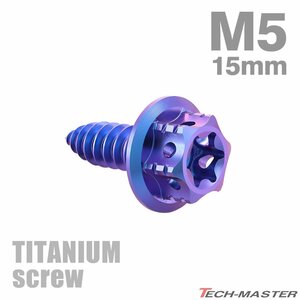 M5×15mm 64チタン合金 ヘキサゴンヘッド タッピングネジ トルクス穴付き パープルブルー 1個 JA1199