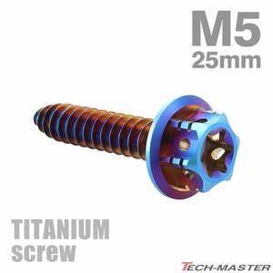 M5×25mm 64チタン合金 ヘキサゴンヘッド タッピングネジ トルクス穴付き 焼きチタンカラー 1個 JA1216