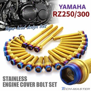 RZ250 RZ300 エンジンカバー クランクケース ボルト 25本セット ステンレス製 テーパーシェルヘッド ゴールド×焼きチタンカラー TB7182