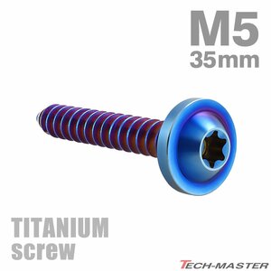 M5×35mm 64チタン合金 タッピングネジ トルクス穴付き 焼きチタンカラー 1個 JA1293