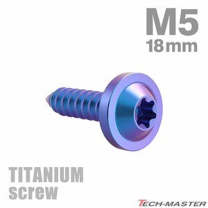 M5×18mm 64チタン合金 タッピングネジ トルクス穴付き パープルブルー 1個 JA1262