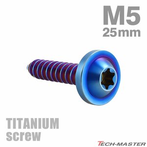 M5×25mm 64チタン合金 タッピングネジ トルクス穴付き 焼きチタンカラー 1個 JA1279