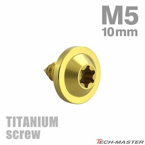 M5×10mm 64チタン合金 タッピングネジ トルクス穴付き ゴールドカラー 1個 JA1242