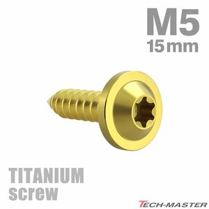 M5×15mm 64チタン合金 タッピングネジ トルクス穴付き ゴールドカラー 1個 JA1256