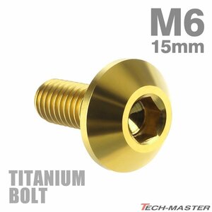 M6×15mm 1.0 頭部径14mm 64チタン合金 テーパーヘッド 六角穴 ボタンボルト ゴールドカラー 金色 車/バイク 1個 JA618