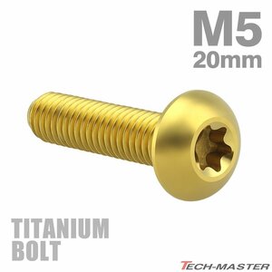 M5×20mm P1.0 64チタン合金 トラスヘッド トルクス穴付き ボタンボルト ゴールドカラー 車/バイク/自転車 1個 JA935