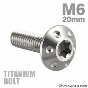 M6×20mm P1.0 頭部径14mm 64チタン合金 テーパー ホールヘッド ボルト トルクス穴 ワイドフランジ シルバーカラー 車/バイク 1個 JA869