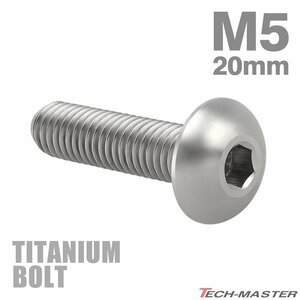 M5×20mm P0.8 64チタン合金 トラスヘッド 六角穴付き ボタンボルト シルバーカラー 車/バイク/自転車 1個 JA897