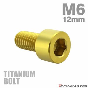 M6×12mm P1.0 64チタン合金 スリムヘッド キャップボルト 六角穴付き ゴールドカラー 1個 JA923