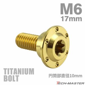M6×17mm P1.0 円筒部直径10mm 64チタン合金 段付きボルト トルクス穴 フランジ付き ゴールドカラー 車/バイク 1個 JA887
