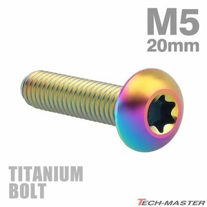 M5×20mm P1.0 64チタン合金 トラスヘッド トルクス穴付き ボタンボルト 焼きチタンカラー ライトカラー 車/バイク/自転車 1個 JA934