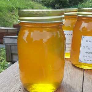 国産蜂蜜 はちみつ 百花蜜 西洋ミツバチ　600g×2本