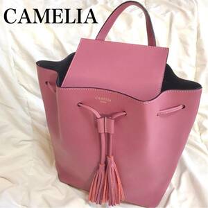 Рюкзак Camelia roma Camellia Loma Backpack Modified Backpack