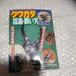 ケイブン社　クワガタ採集・飼い方大百科　山口進　オオクワガタ　本　中古　