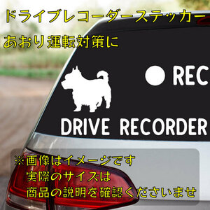 ヨークシャーテリア　ドライブレコーダーステッカー 【dr019】