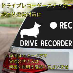  well shu* Corgi drive recorder sticker [dr024]