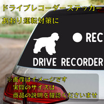 アメリカン・コッカー・スパニエル　ドライブレコーダーステッカー 【dr036】_画像1