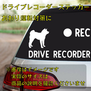 秋田犬　ドライブレコーダーステッカー 【dr037】