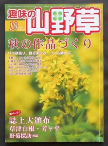 ★趣味の「山野草」★２００７年１０月号★秋の作品づくり★栃の葉書房★