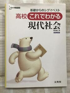 送料無料◆基礎からのシグマベスト 高校これでわかる現代社会 新課程版 文英堂