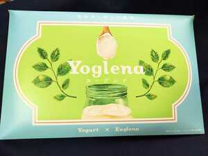 ヨーグレナ yoglena MEJ [ユーグレナ 乳酸菌 ビフィズス菌 オリゴ糖 シンバイオティクス] 1袋 3g （1箱30包入り） スティックタイプ 免疫