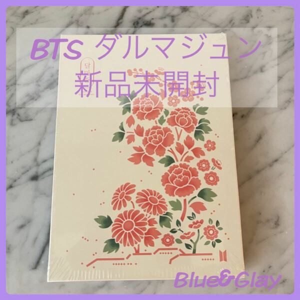 BTS DALMAJUNG ダルマジュン PHOTO BOOK フォトブック 新品未開封