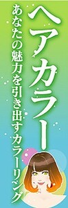 最短当日出荷　のぼり旗　送料198円から　bj1-nobori2389　ヘアカラー