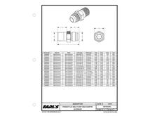 アメ車 アールズ EARL'S フィッティング 10ANx3/4インチ NPT ストレート 981609ERL_画像4