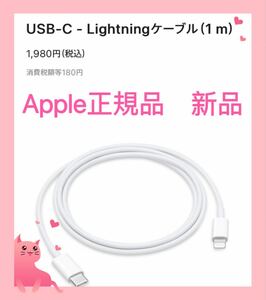 新品　Apple純正品　ライトニングケーブル　 電源ケーブル USB-C Apple エアーポッズプロ