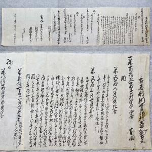 古文書 寛政二年 古志郡内豊詰村當納事 写 未解読 詳細不明 豊詰村 新潟県