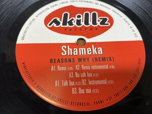 NO 5-2045 ◆ 12インチ ◆ Shameka ◆ Reasons Why (Remix)