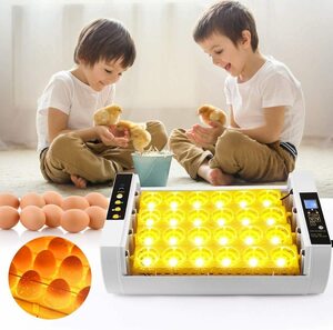  super popular * automatic . egg vessel inspection egg light built-in in kyu Beta -LED liquid crystal .. proportion up birds exclusive use . egg vessel automatic rotation egg type hi width birth 24 piece automatic temperature system 016