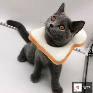 猫 犬 エリザベスカラー ペット用品 引っ掻き防止 調整可能 柔らかい